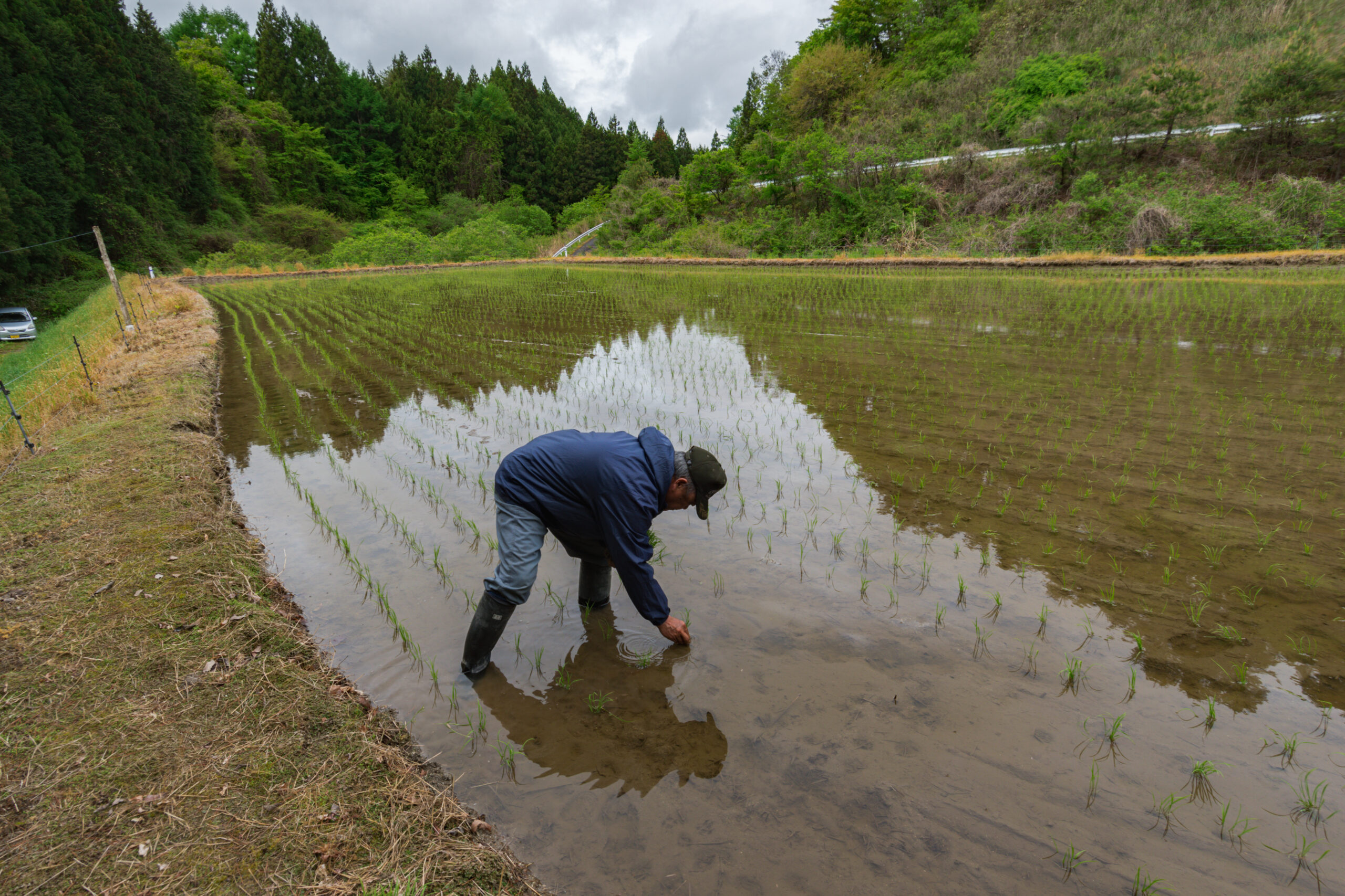 実績のイメージ画像